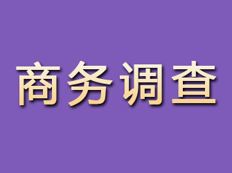 温江商务调查